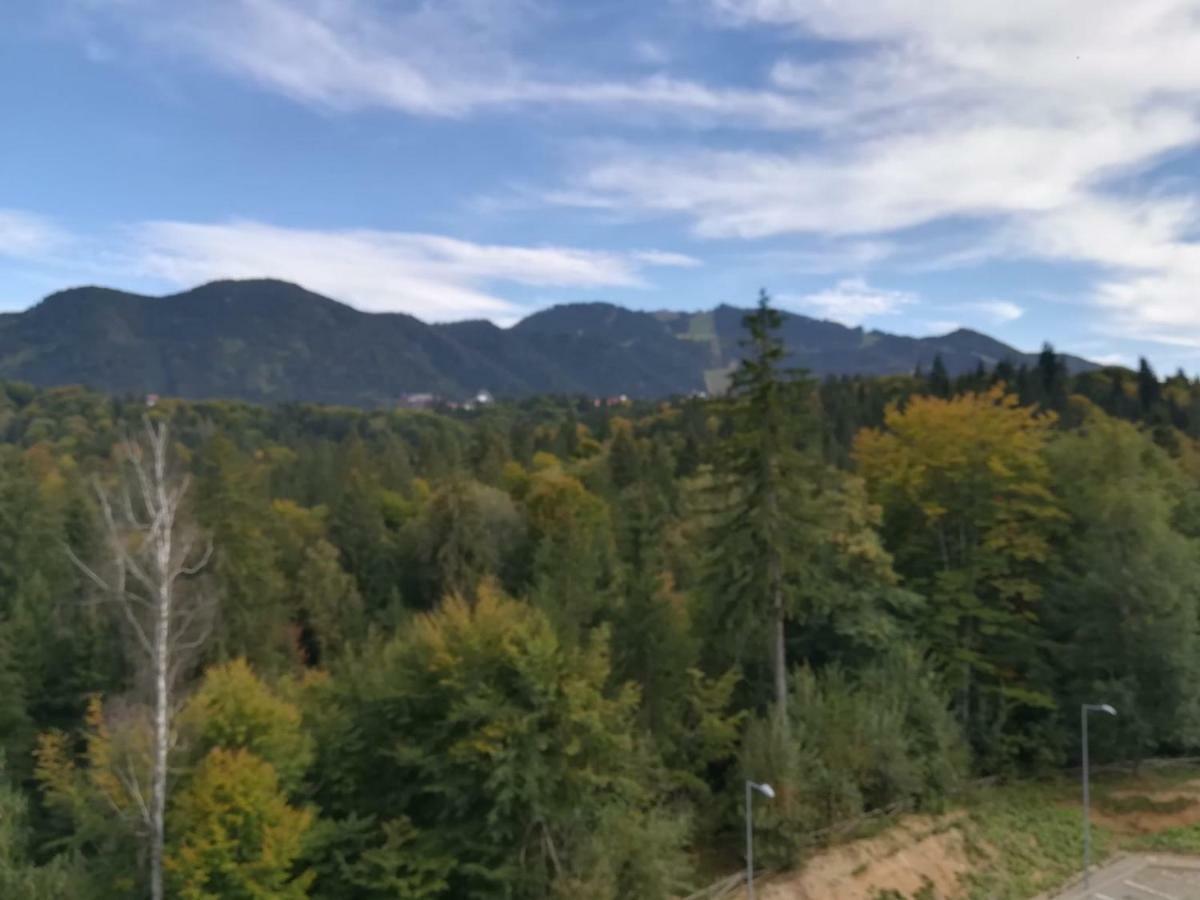 Silver Mountai G1 40 Deluxe Lägenhet Poiana Brasov Exteriör bild